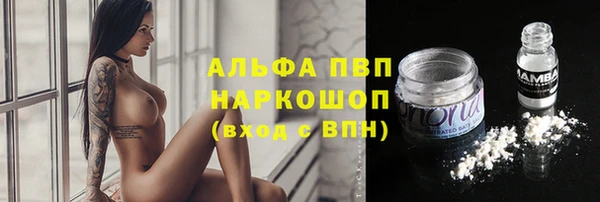 прущие грибы Семилуки
