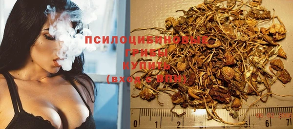 бутират Няндома