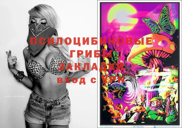 бутират Няндома