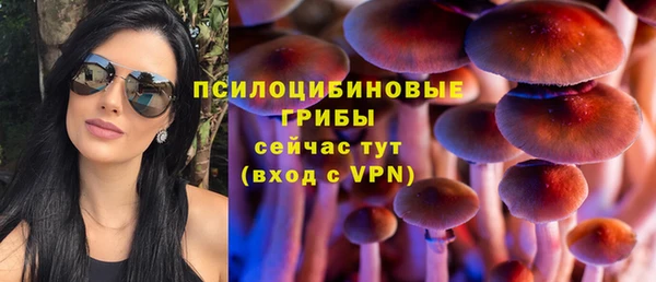 бутират Няндома