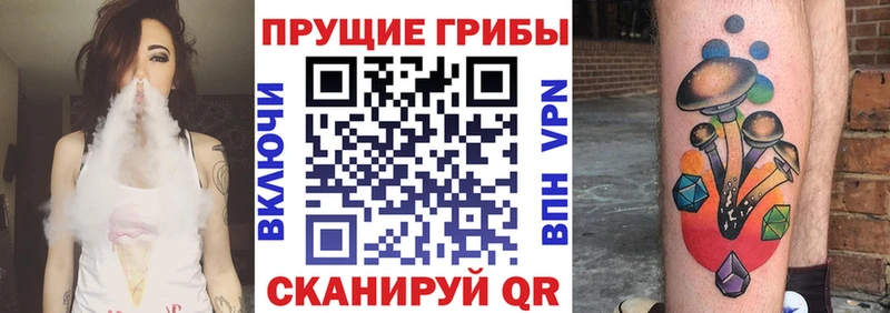 магазин  наркотиков  Волжск  Галлюциногенные грибы прущие грибы 