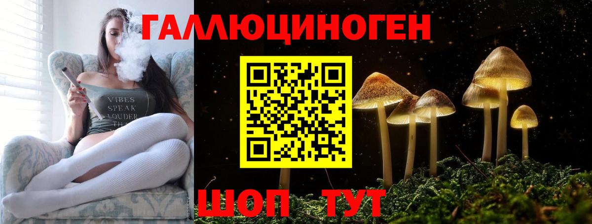 Галлюциногенные грибы прущие грибы  закладки  Волжск  Вход с VPN 